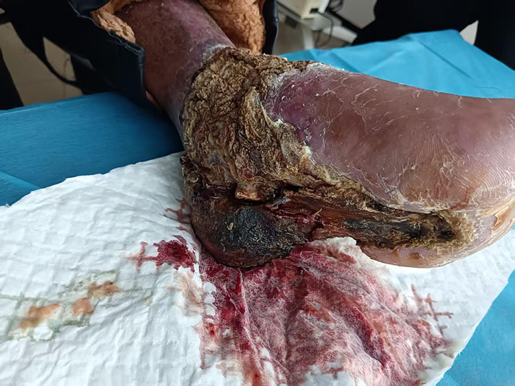 CC网投·(中国游)官方网站