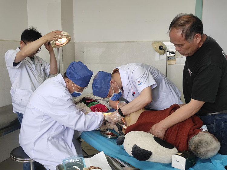 CC网投·(中国游)官方网站