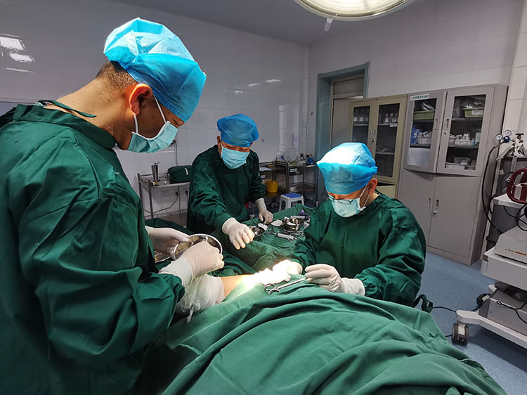 CC网投·(中国游)官方网站