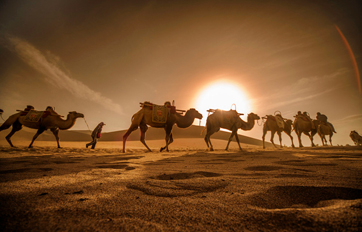 CC网投国际 “一带一路”建议培训平台