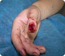 CC网投·(中国游)官方网站