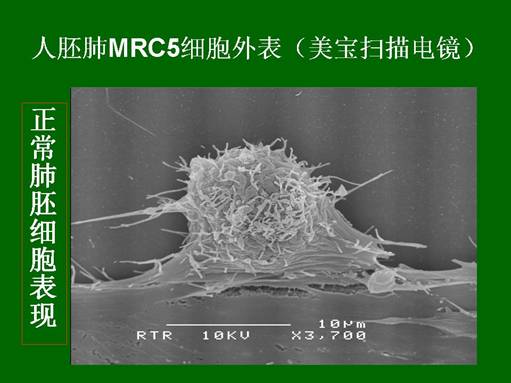 CC网投·(中国游)官方网站
