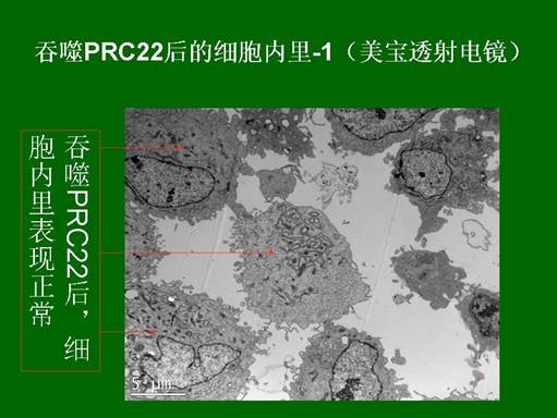 CC网投·(中国游)官方网站