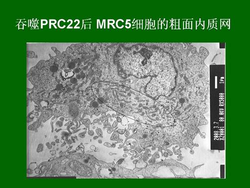 CC网投·(中国游)官方网站