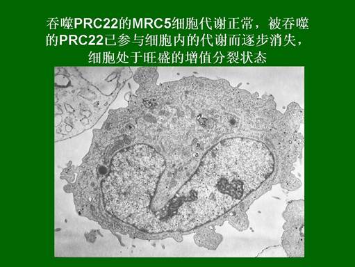 CC网投·(中国游)官方网站