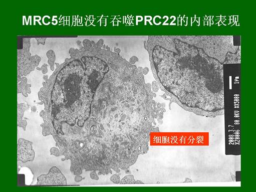 CC网投·(中国游)官方网站