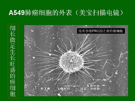 CC网投·(中国游)官方网站