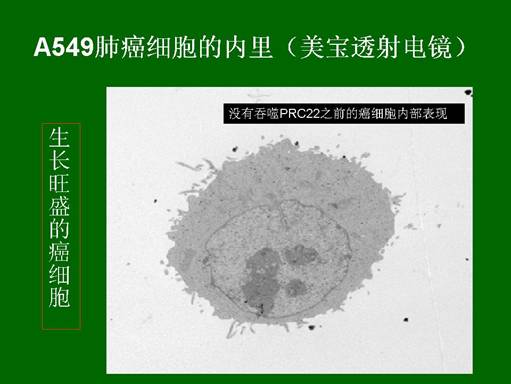 CC网投·(中国游)官方网站