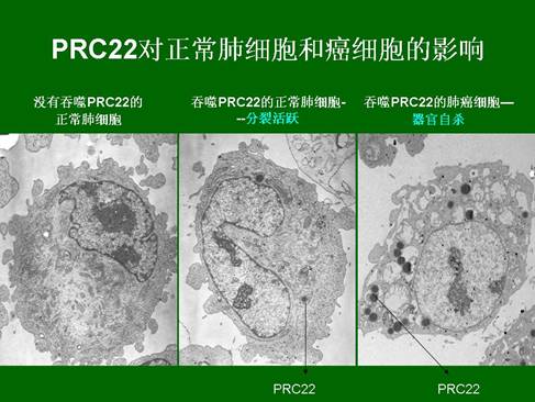 CC网投·(中国游)官方网站