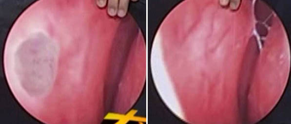 CC网投·(中国游)官方网站