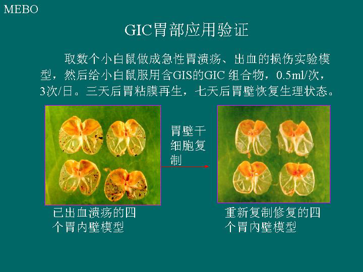 CC网投·(中国游)官方网站