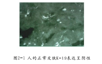 CC网投·(中国游)官方网站