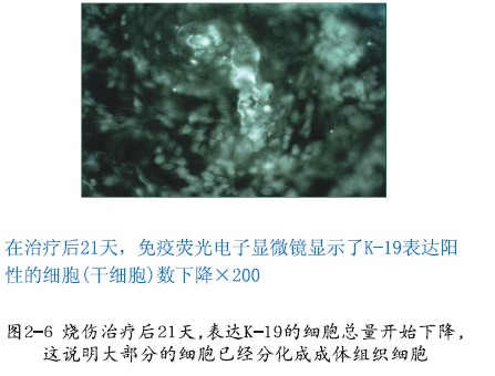 CC网投·(中国游)官方网站