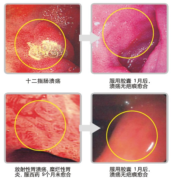 CC网投·(中国游)官方网站
