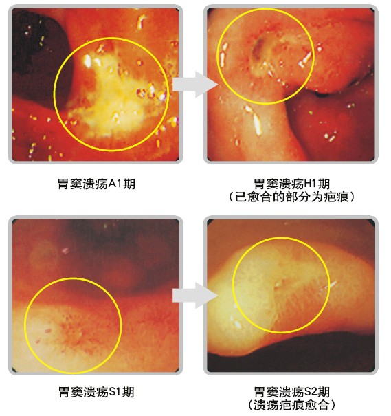 CC网投·(中国游)官方网站
