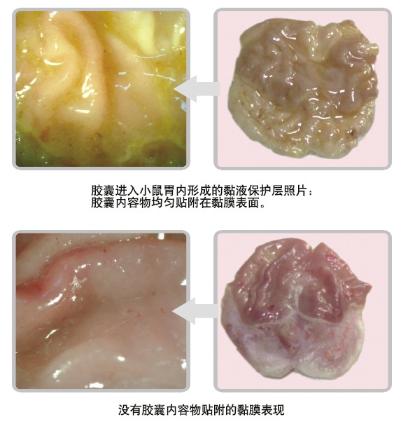 CC网投·(中国游)官方网站