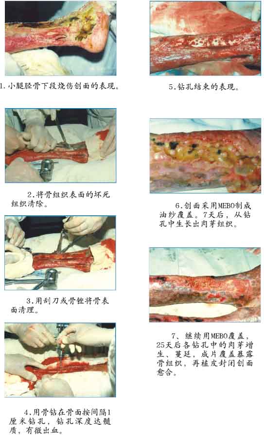 CC网投·(中国游)官方网站