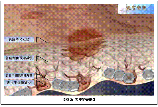 CC网投·(中国游)官方网站
