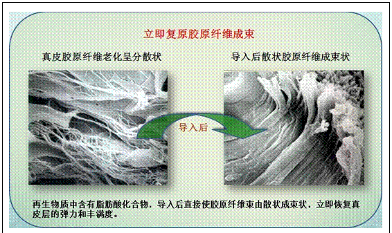 CC网投·(中国游)官方网站