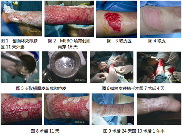 CC网投·(中国游)官方网站