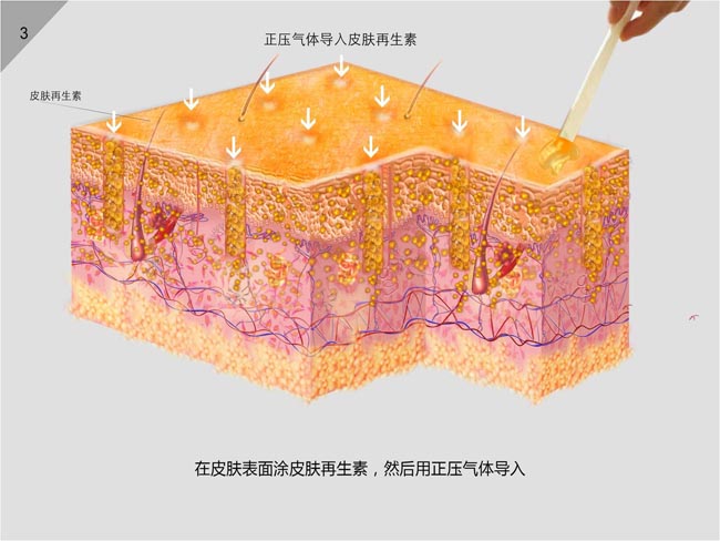 CC网投·(中国游)官方网站