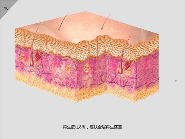 CC网投·(中国游)官方网站