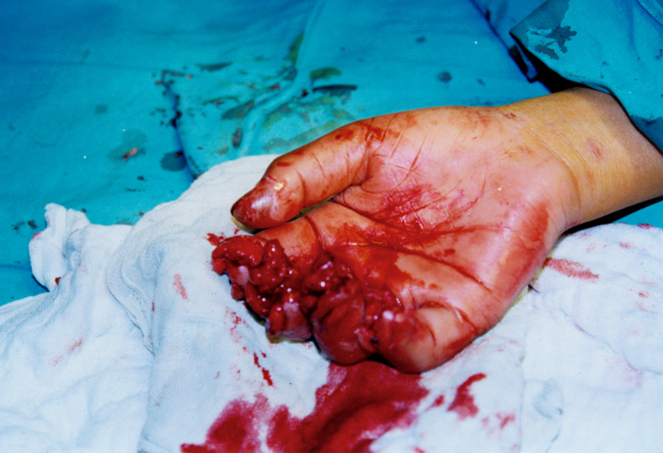 CC网投·(中国游)官方网站