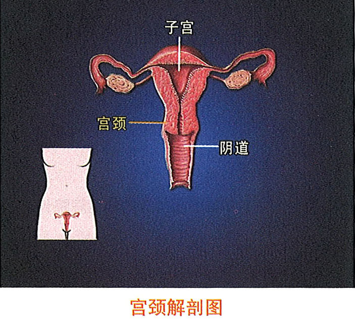CC网投·(中国游)官方网站