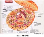 CC网投·(中国游)官方网站